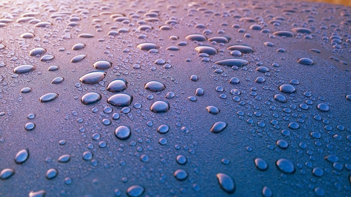 picture of moisture droplets